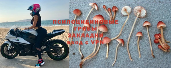 а пвп мука Корсаков